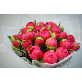 Королевские пионы