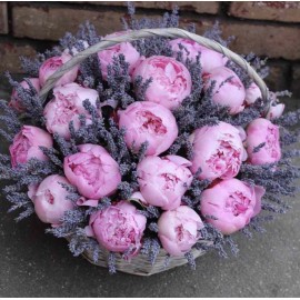 Наша Лавстори