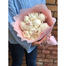 Акция! Северная Венеция