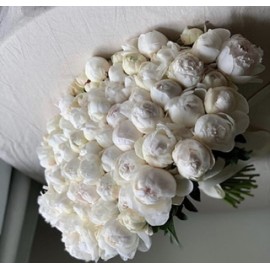 51 белый пион