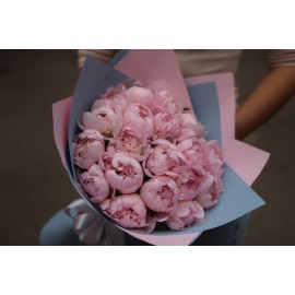 Венская история