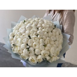 101 белый пион