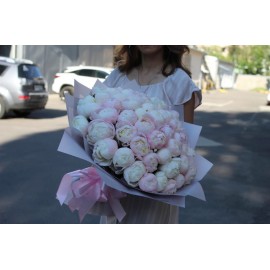 51 пион сорта Гардения