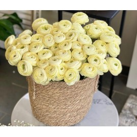 Лимонные ранункулюсы от 9 штук