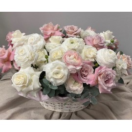 Нежный авангард