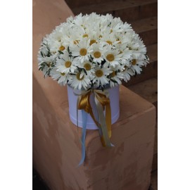 Ромашковый сбор