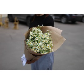 15 полевых ромашек в крафте