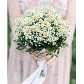 Ромашковый день 