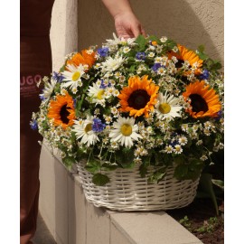 Большая полевая корзина