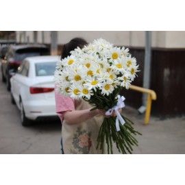 Милые ромашки