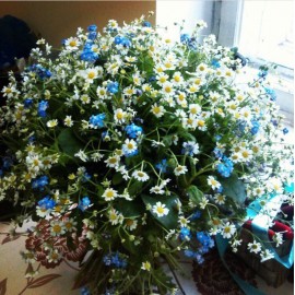 Букет из ромашек и незабудок