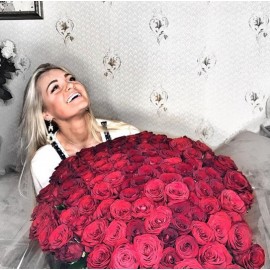 201 красная роза (Россия)