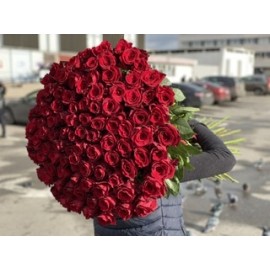 101 метровая роза 