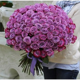 101 фиалетовая роза сорт Муди Блю