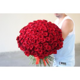 101 эквадорская роза высотой 60 см.