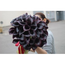 51 черная калла