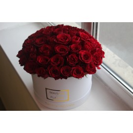 Розы Эксплорер  в коробке 