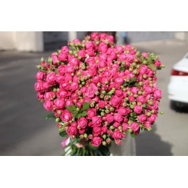 Малиновая фантастика 