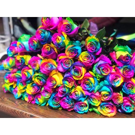 51 радужная роза Эквадор высота 80 см