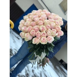 51 розовая роза Пинк Мундеаль