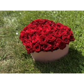 Красное сердце 