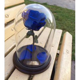 Синяя роза в колбе