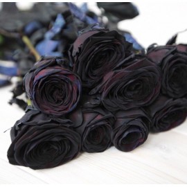 Черные розы поштучно