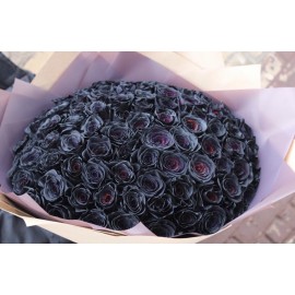 101 черная роза