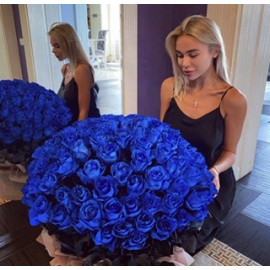 101 синяя роза