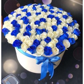 Бело-синий микс