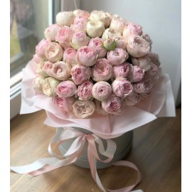 Мансфилд бокс