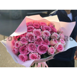 Любимая Миранда