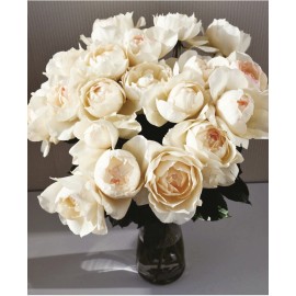 Розы Крим Пьяже 