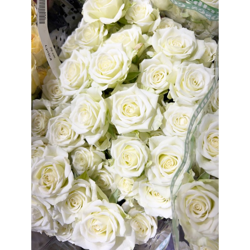 Белые кустовые розы поштучно от 9 штук