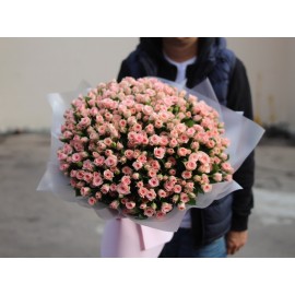 100 % нежности 