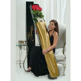 Розы высотой 2 метра