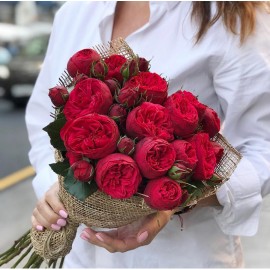 9 красавиц Ред Пиано 