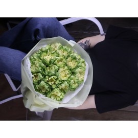 Зеленые розы Вегги поштучно от 19 шт.