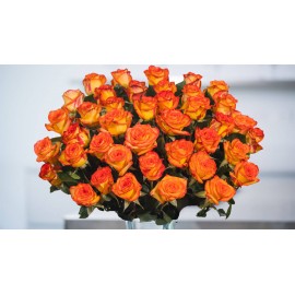 75 оранжевых роз