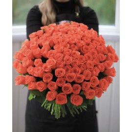 101 оранжевая роза 