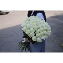 Белые розы Проуд, высота 70 см., Эквадор