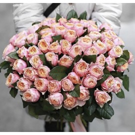 101 роза сорта Вувузела