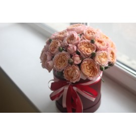 Коробка с Джульеттой