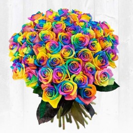 51 радужная роза