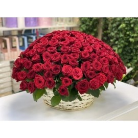201 красная роза в корзине 