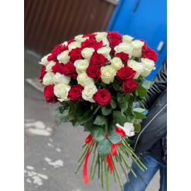 51 красно-белая роза 