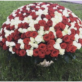 корзина из 333 роз