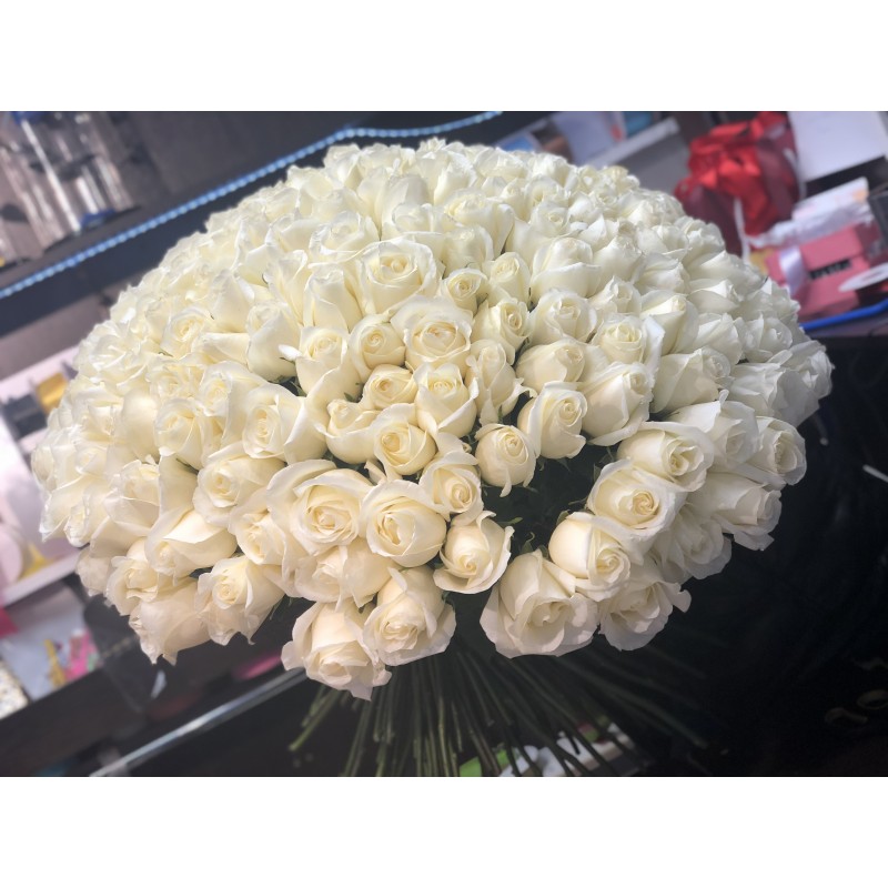 201 белая роза white chicolate 