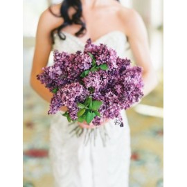 Свадебная сирень