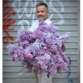 Большой букет сирени